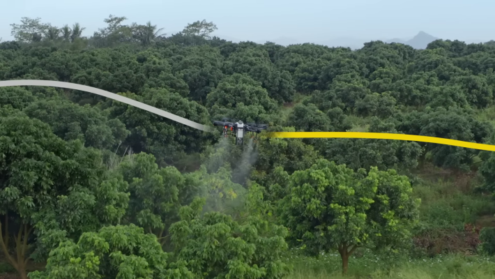 Drone ile fındıklık ilaçlama