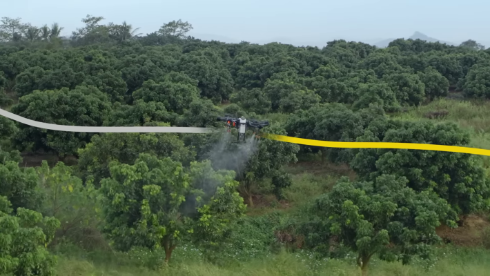 Drone ile fındıklık ilaçlama