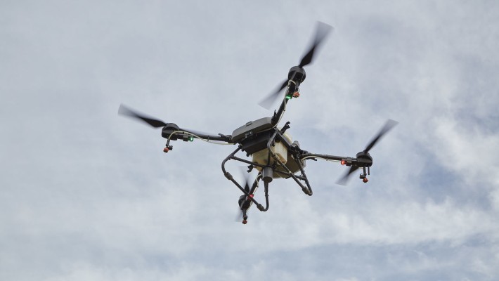 Drone ile zeytinlik ilaçlama